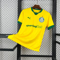 PALMEIRAS JERSEY 26-27